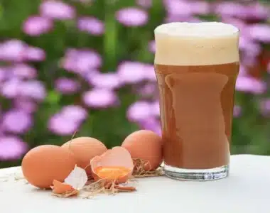 Malta con huevo, malta con huevo chileno