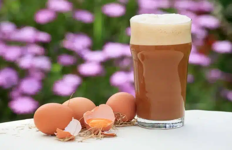 Malta con huevo, malta con huevo chileno