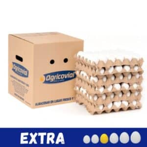 Caja de huevos Extra 180 unidades para negocios en Santiago