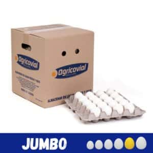 Caja de huevos Jumbo 100 unidades con despacho en Santiago