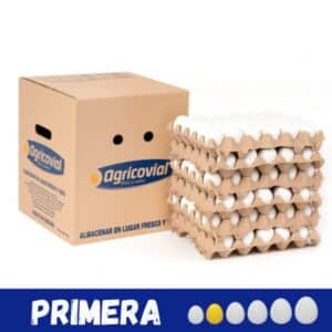 Caja de huevos Primera 180 unidades para alto consumo en Santiago