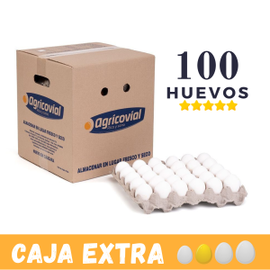 Caja de 100 huevos Extra frescos con despacho a domicilio en Santiago.