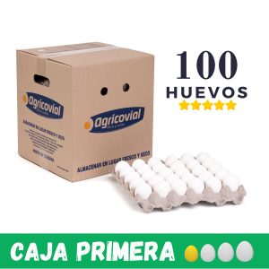 Caja de 100 huevos Primera con entrega a domicilio en Santiago.