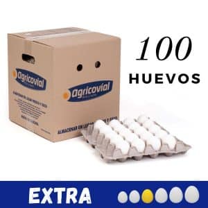 Huevo Extra (100u) - Despacho Gratis