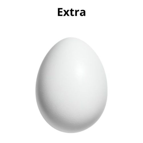huevo-extra-60g-don-huevon-v2