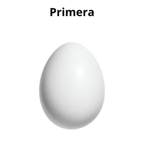 huevo-primera-55g-don-huevon